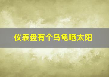 仪表盘有个乌龟晒太阳