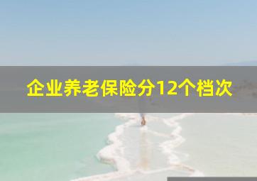 企业养老保险分12个档次