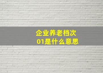 企业养老档次01是什么意思