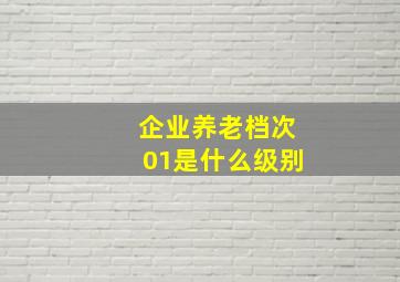 企业养老档次01是什么级别