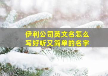 伊利公司英文名怎么写好听又简单的名字