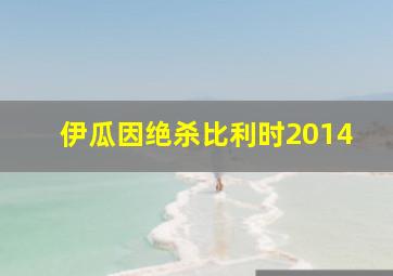 伊瓜因绝杀比利时2014