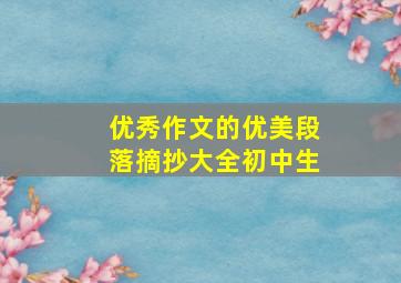 优秀作文的优美段落摘抄大全初中生