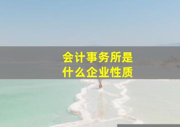 会计事务所是什么企业性质