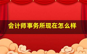 会计师事务所现在怎么样