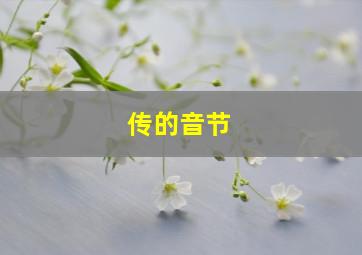 传的音节