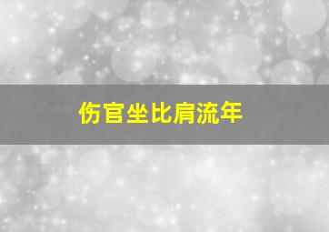 伤官坐比肩流年