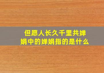 但愿人长久千里共婵娟中的婵娟指的是什么