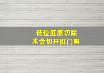 低位肛瘘切除术会切开肛门吗