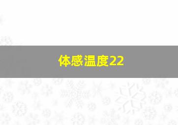 体感温度22