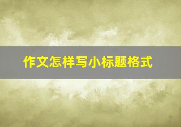 作文怎样写小标题格式