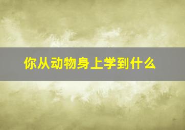 你从动物身上学到什么