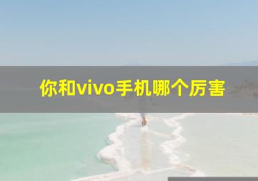 你和vivo手机哪个厉害