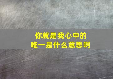 你就是我心中的唯一是什么意思啊