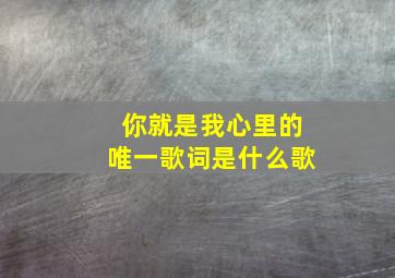 你就是我心里的唯一歌词是什么歌