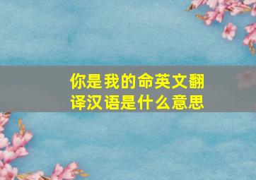 你是我的命英文翻译汉语是什么意思