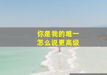 你是我的唯一怎么说更高级