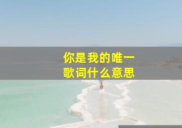 你是我的唯一歌词什么意思