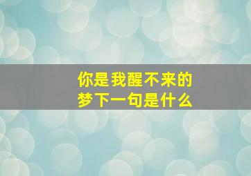 你是我醒不来的梦下一句是什么