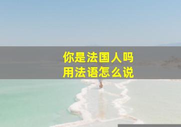 你是法国人吗用法语怎么说