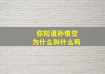 你知道孙悟空为什么叫什么吗