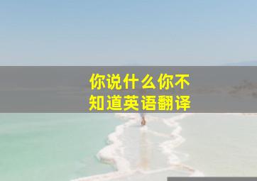 你说什么你不知道英语翻译