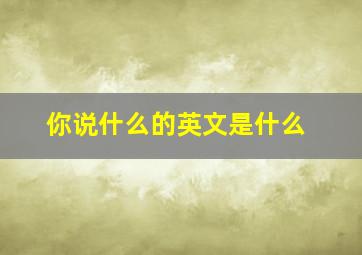 你说什么的英文是什么