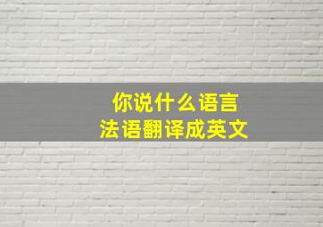 你说什么语言法语翻译成英文