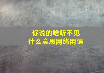 你说的啥听不见什么意思网络用语