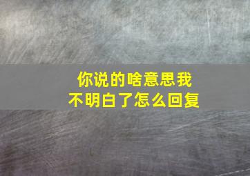 你说的啥意思我不明白了怎么回复