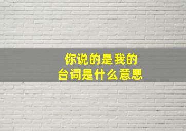 你说的是我的台词是什么意思