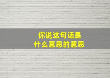 你说这句话是什么意思的意思