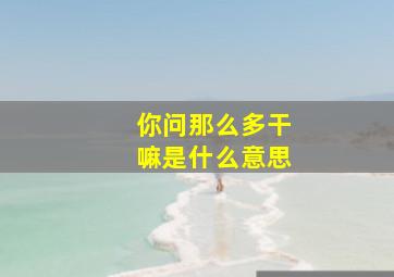 你问那么多干嘛是什么意思