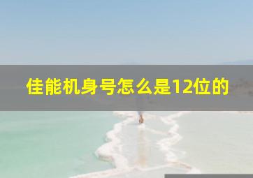 佳能机身号怎么是12位的