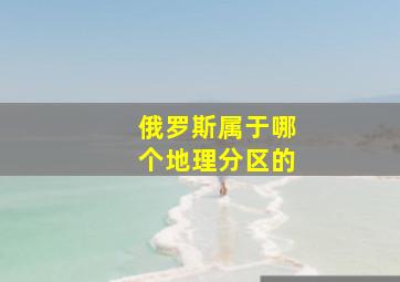 俄罗斯属于哪个地理分区的