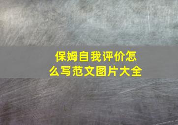 保姆自我评价怎么写范文图片大全