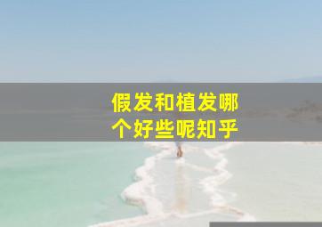 假发和植发哪个好些呢知乎