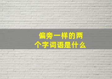 偏旁一样的两个字词语是什么