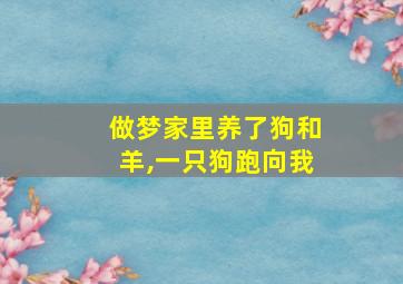 做梦家里养了狗和羊,一只狗跑向我