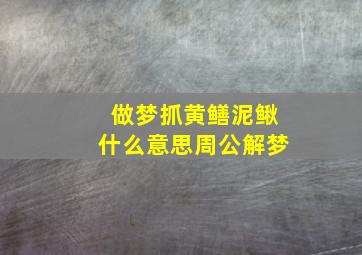 做梦抓黄鳝泥鳅什么意思周公解梦