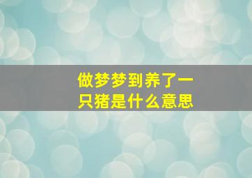 做梦梦到养了一只猪是什么意思