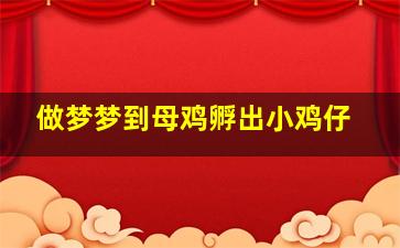 做梦梦到母鸡孵出小鸡仔