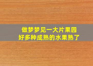 做梦梦见一大片果园好多种成熟的水果熟了