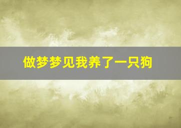 做梦梦见我养了一只狗