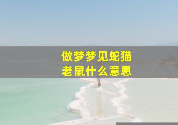 做梦梦见蛇猫老鼠什么意思