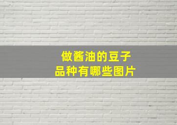 做酱油的豆子品种有哪些图片