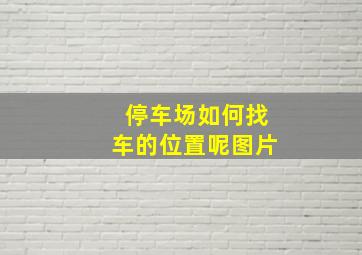 停车场如何找车的位置呢图片