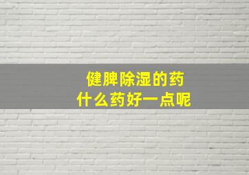 健脾除湿的药什么药好一点呢