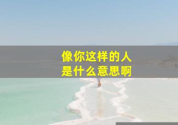 像你这样的人是什么意思啊