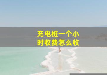 充电桩一个小时收费怎么收